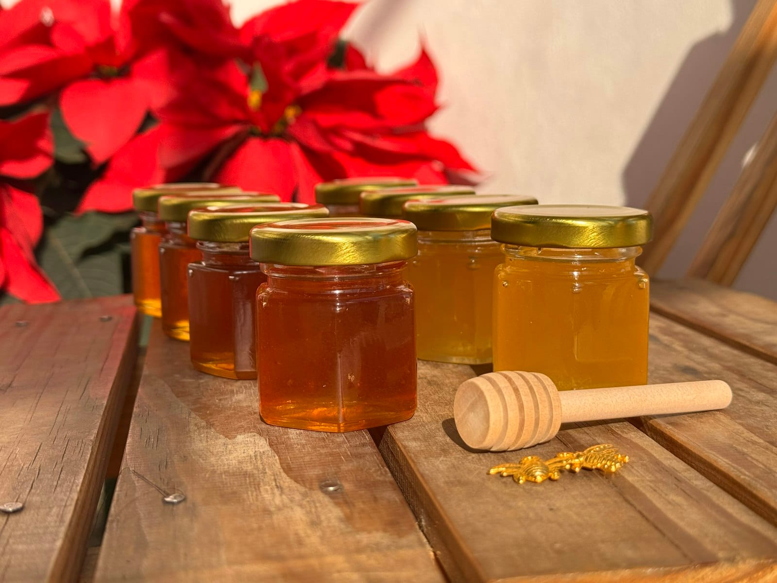 Manuka-Honig (MGO-zertifiziert)