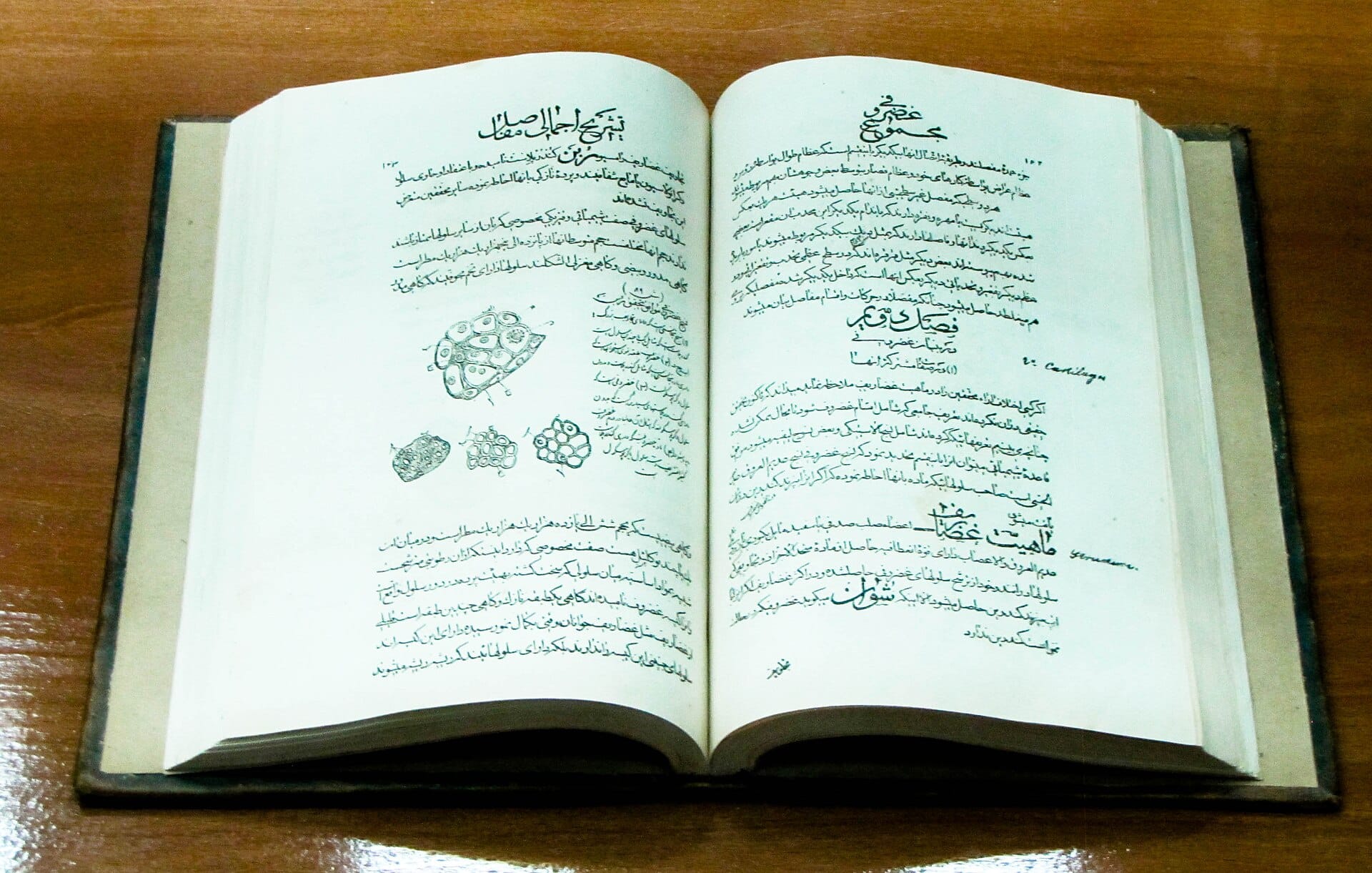 Originalseite des Kanons der Medizin auf Arabisch
